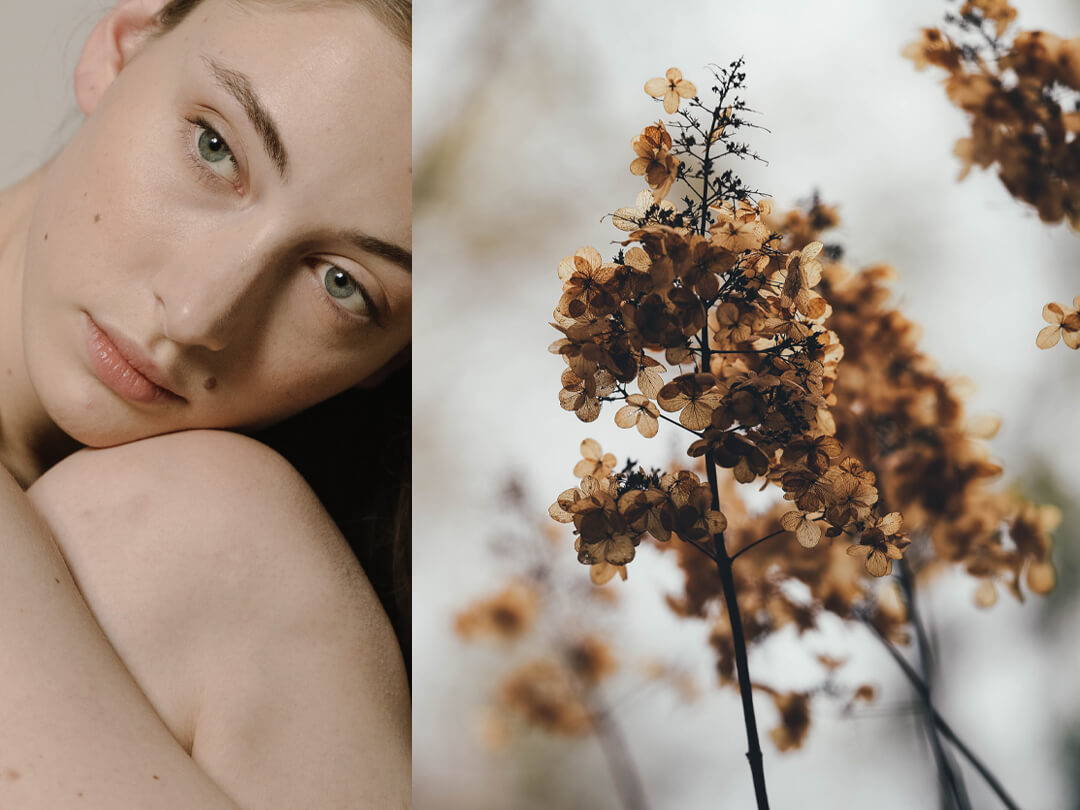 Hautpflege im Herbst: Tipps für die optimale Gesichtspflege