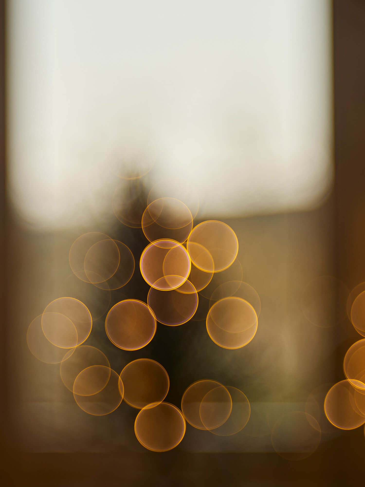 Geschenke-Guide Weihnachten