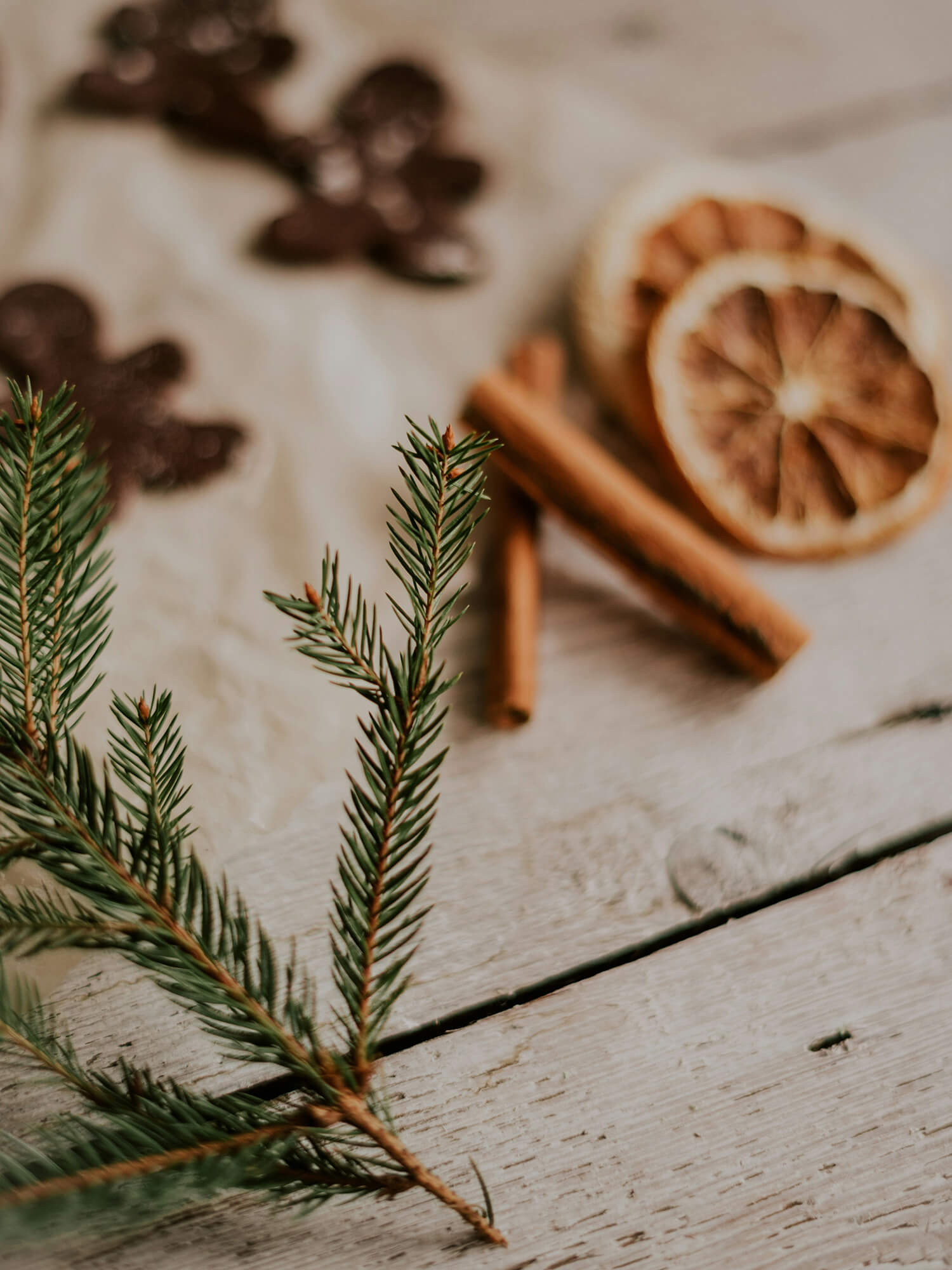 Geschenke-Guide Weihnachten